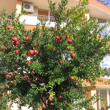 Hotel Family Deja Vu