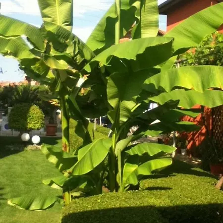 Hotel Family Deja Vu 2*