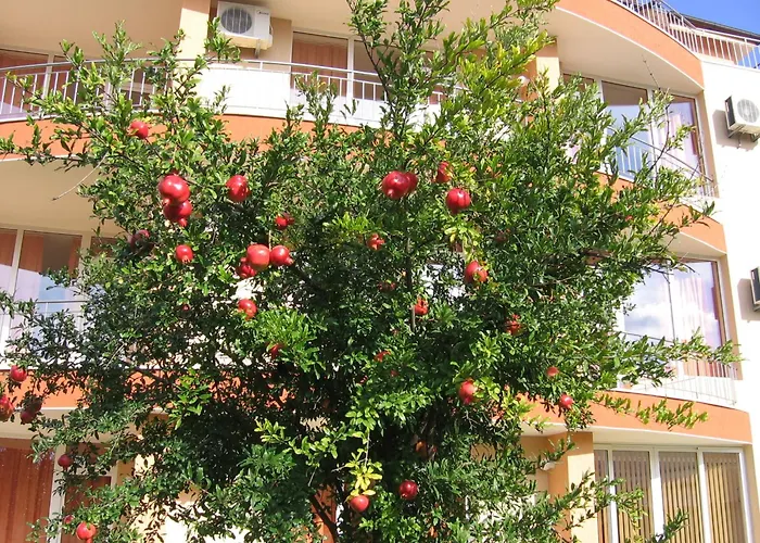 Hotel Family Deja Vu