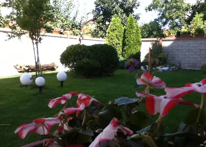 Hotel Family Deja Vu 2*